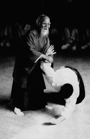 Aikido Colmar Red Devils