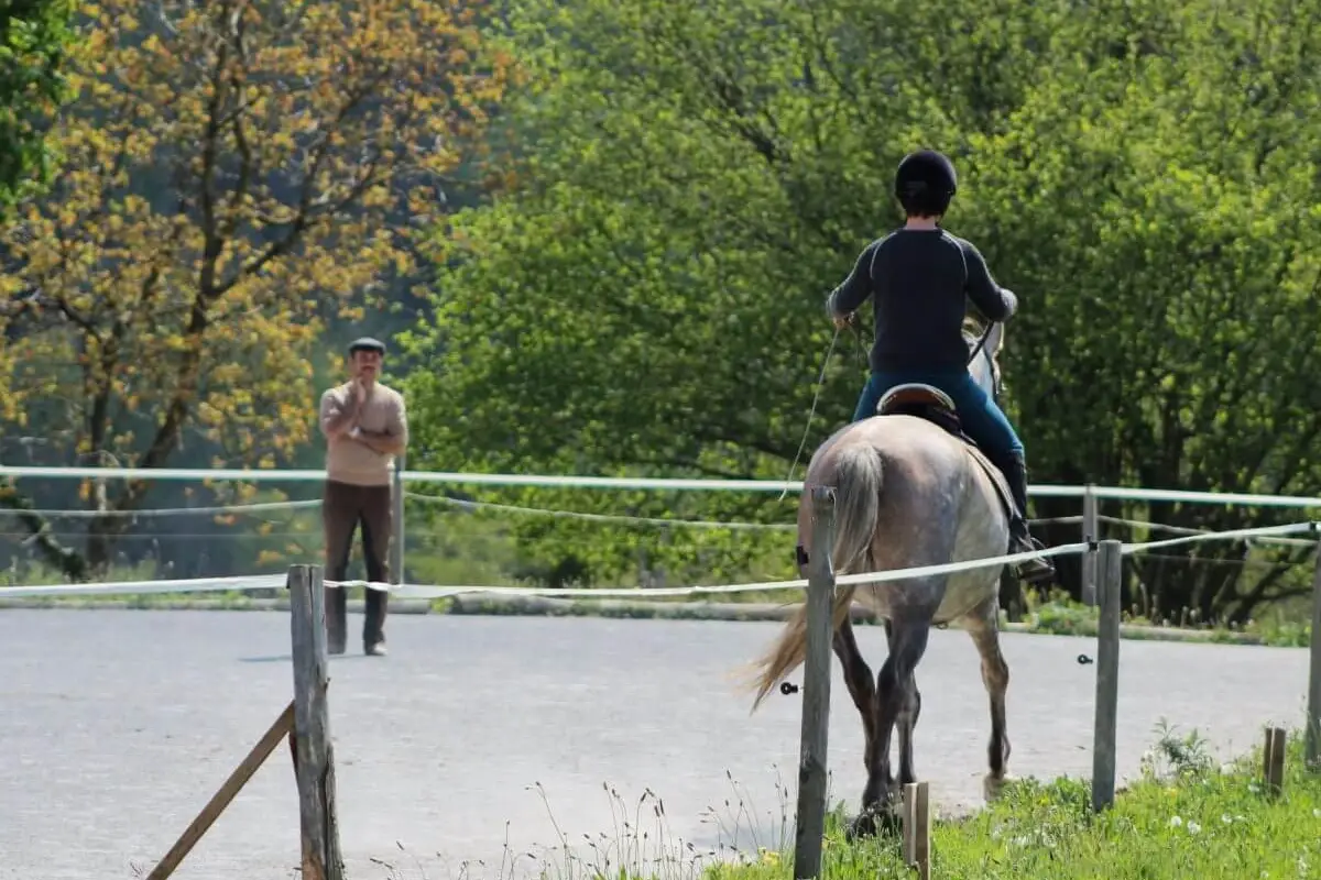 Anatoly Equitation - Randonnée à cheval - Ecole de Légèreté
