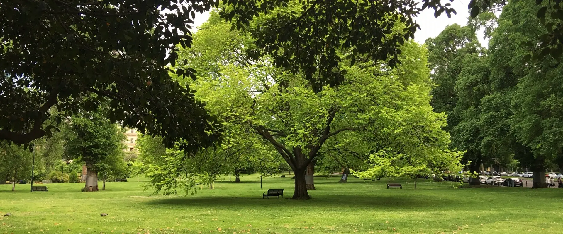 Wallan Wallan Natural Therapies