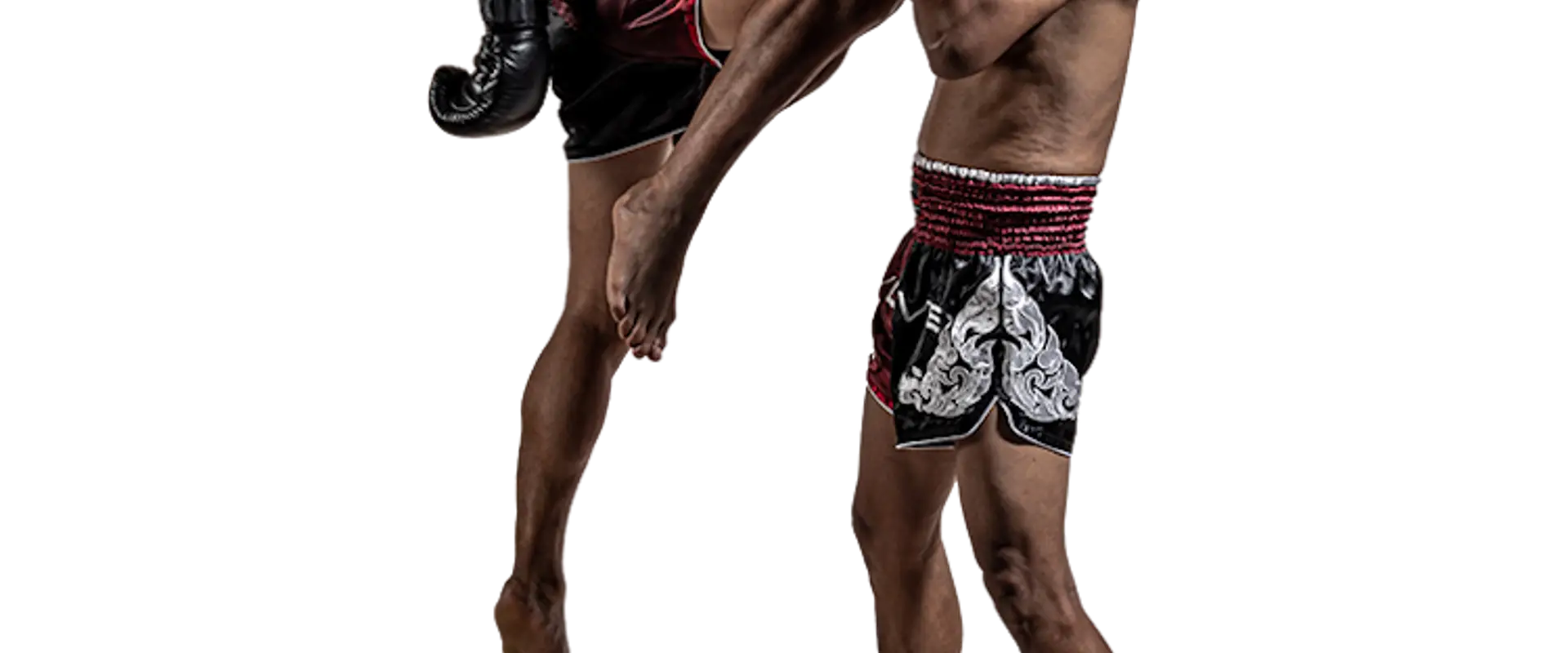 Evolve MMA (Clarke Quay Central)