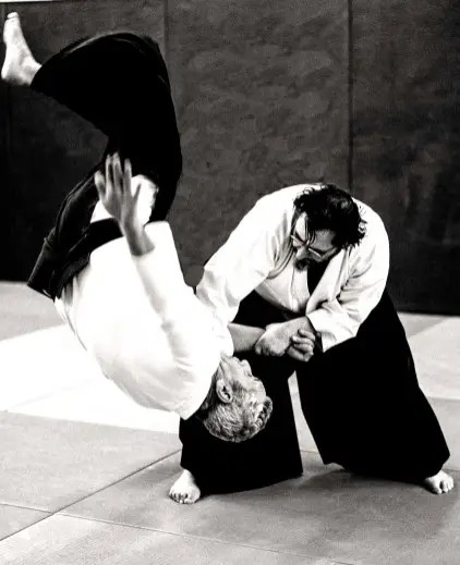 Aikido Vernaison