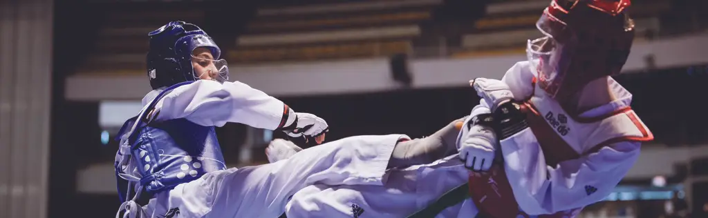Taekwondo Biot