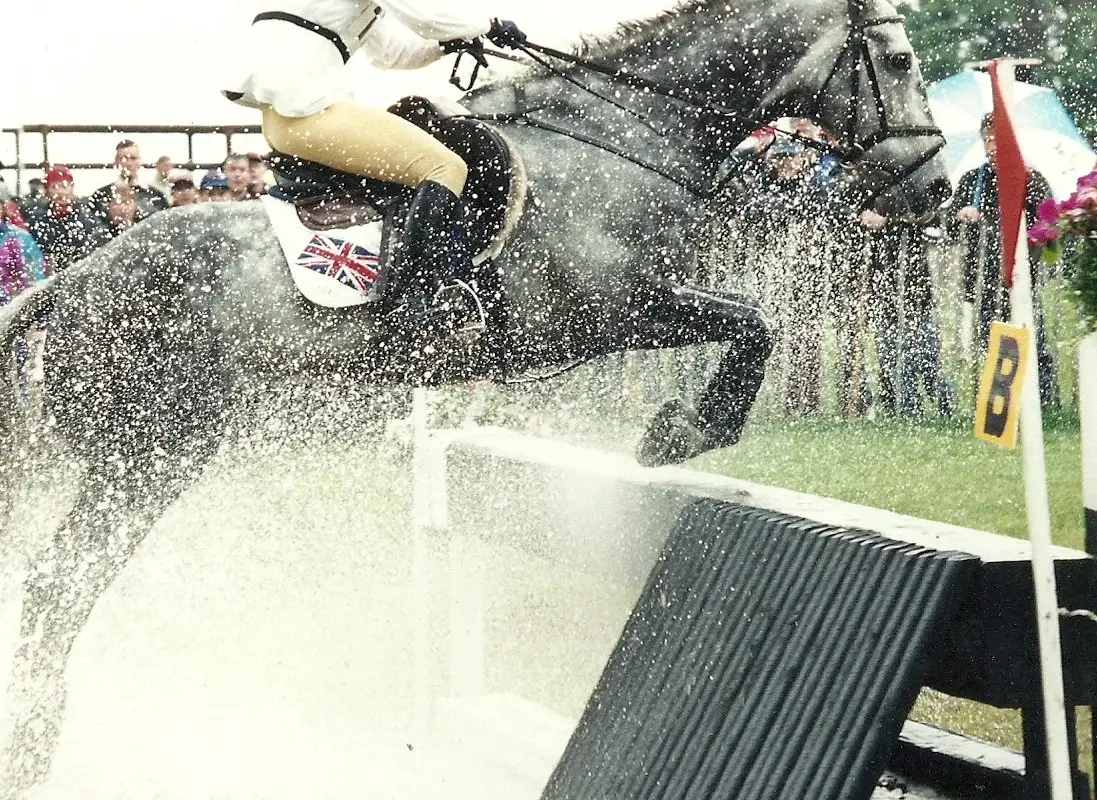 Lincoln Stud