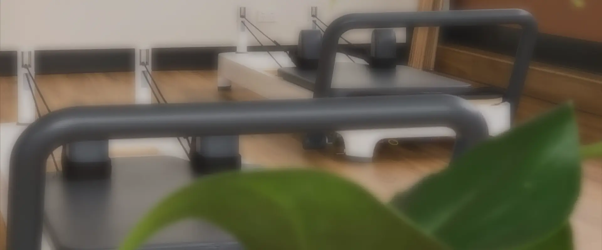 Wellnest Health