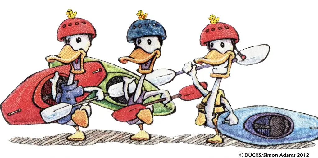 DUCKS canoe club