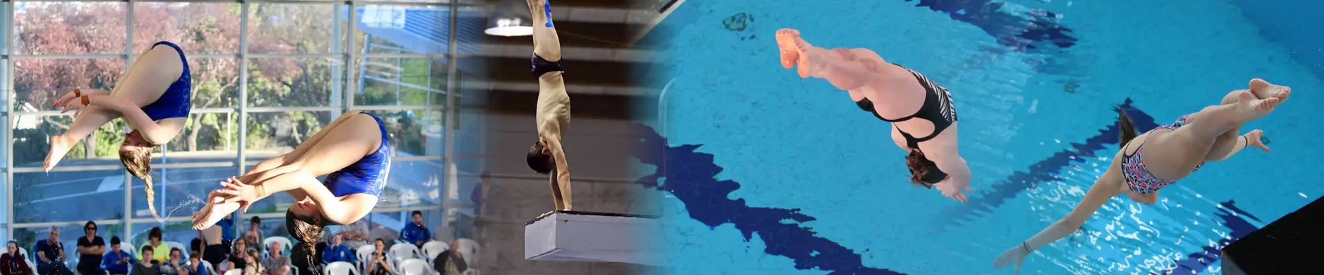 Diving Otakou