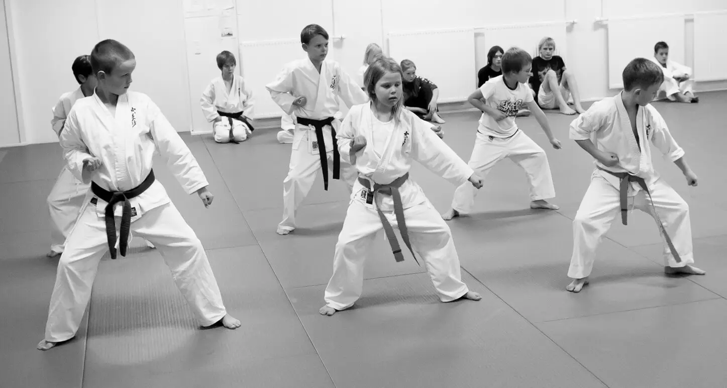 Ashford Karate Jutsu Kai