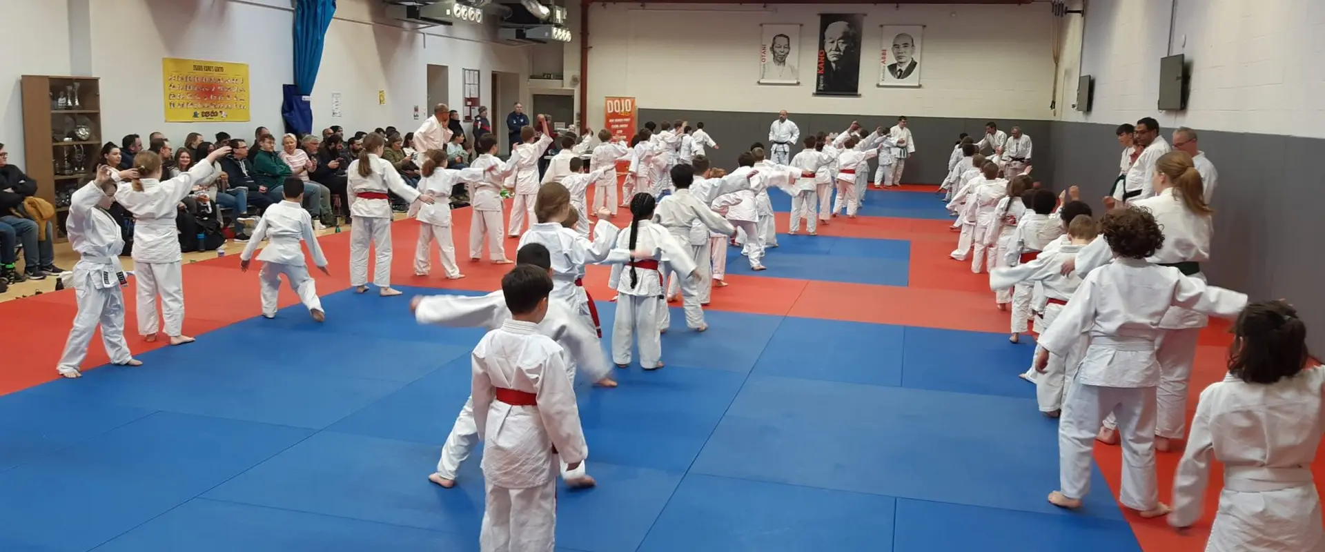 St Albans Judo Club
