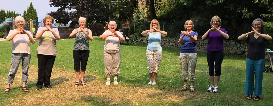 North Shore Tai Chi Spirit & Chinese Health Qigong