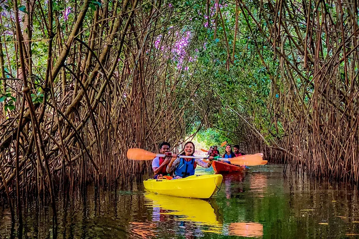Syzygy Ecosports