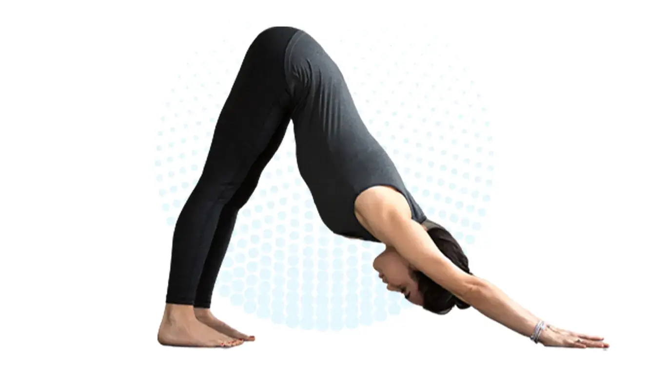 Kaya kalp yoga centre