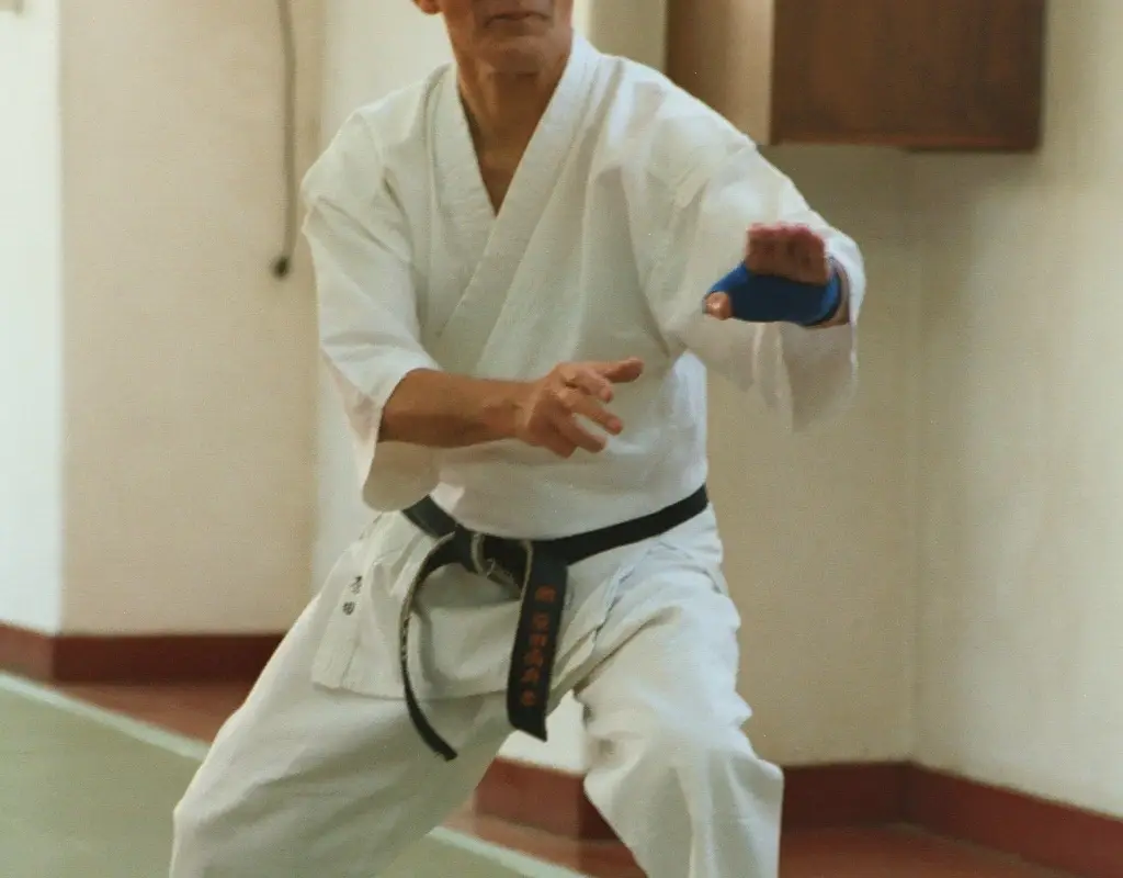 Staffordshire University KDS (Karate-Do Shotokai)