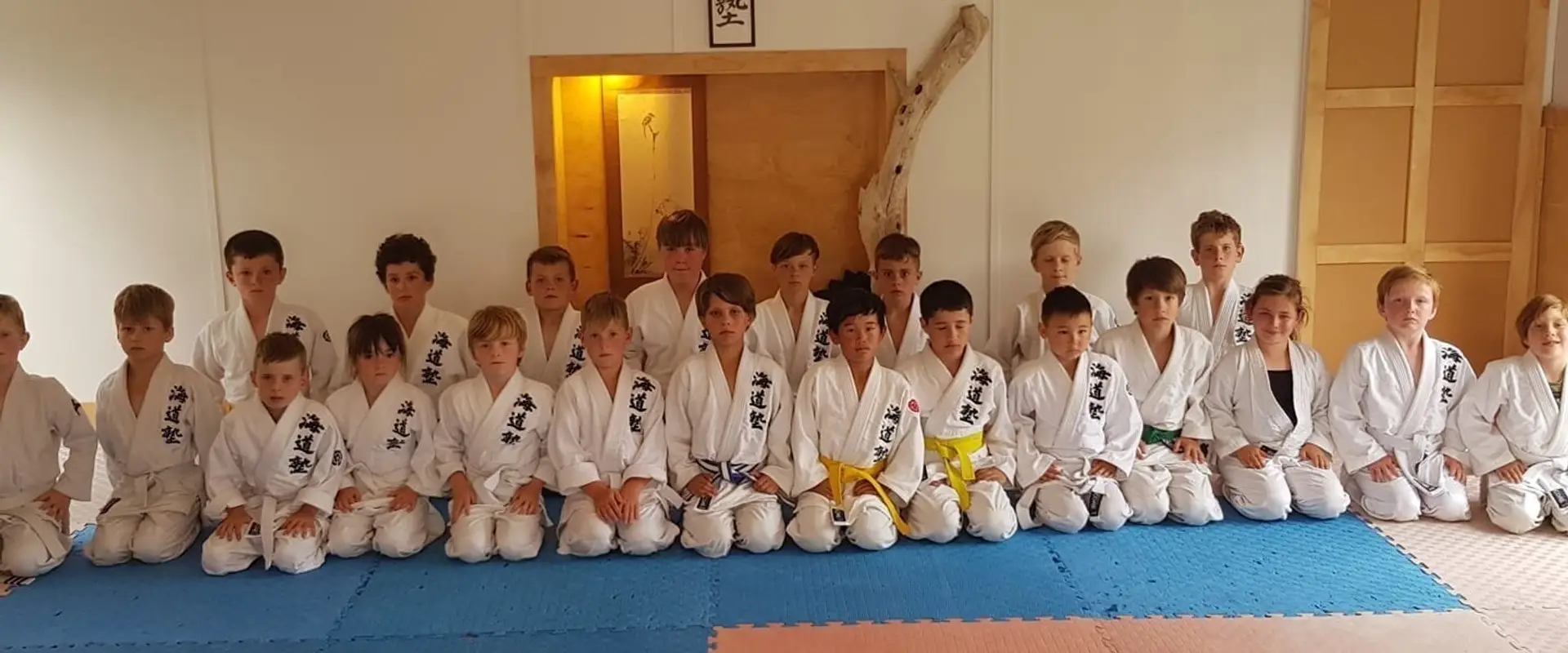 OCHIBA DOJO Orewa