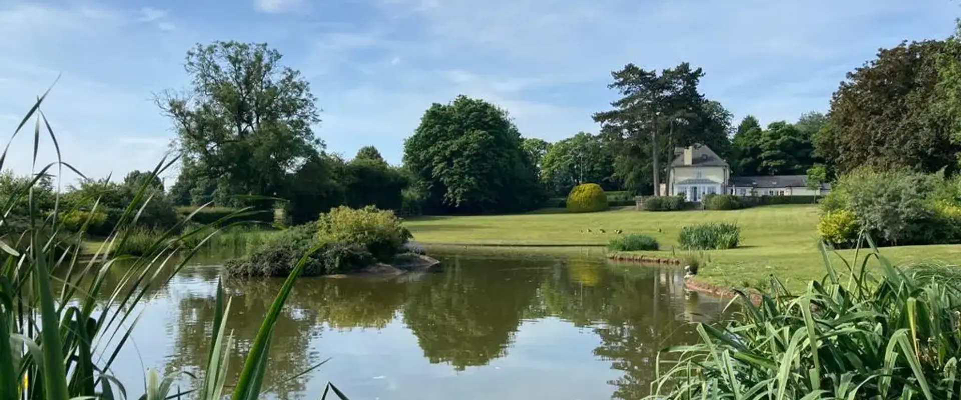 Land and Waterscapes Ltd