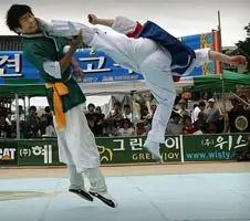 Taekwondo Jidokwan Vendargues