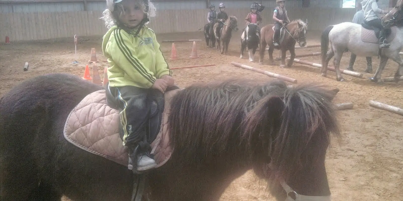 AU PETIT MANEGE