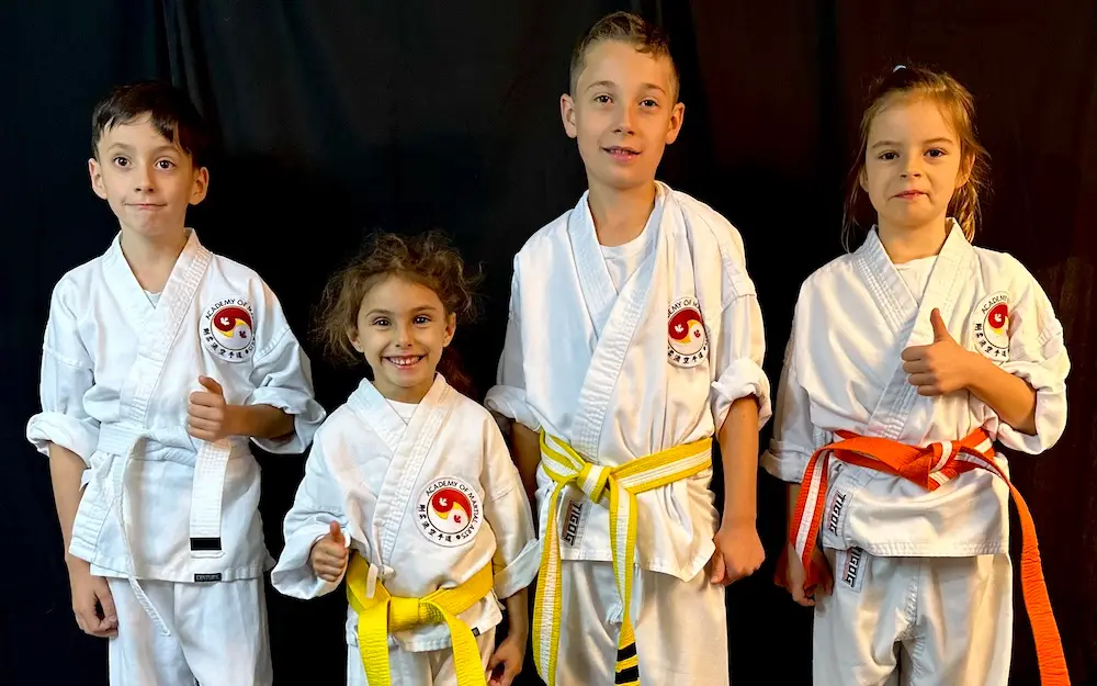 Academy of Martial Arts