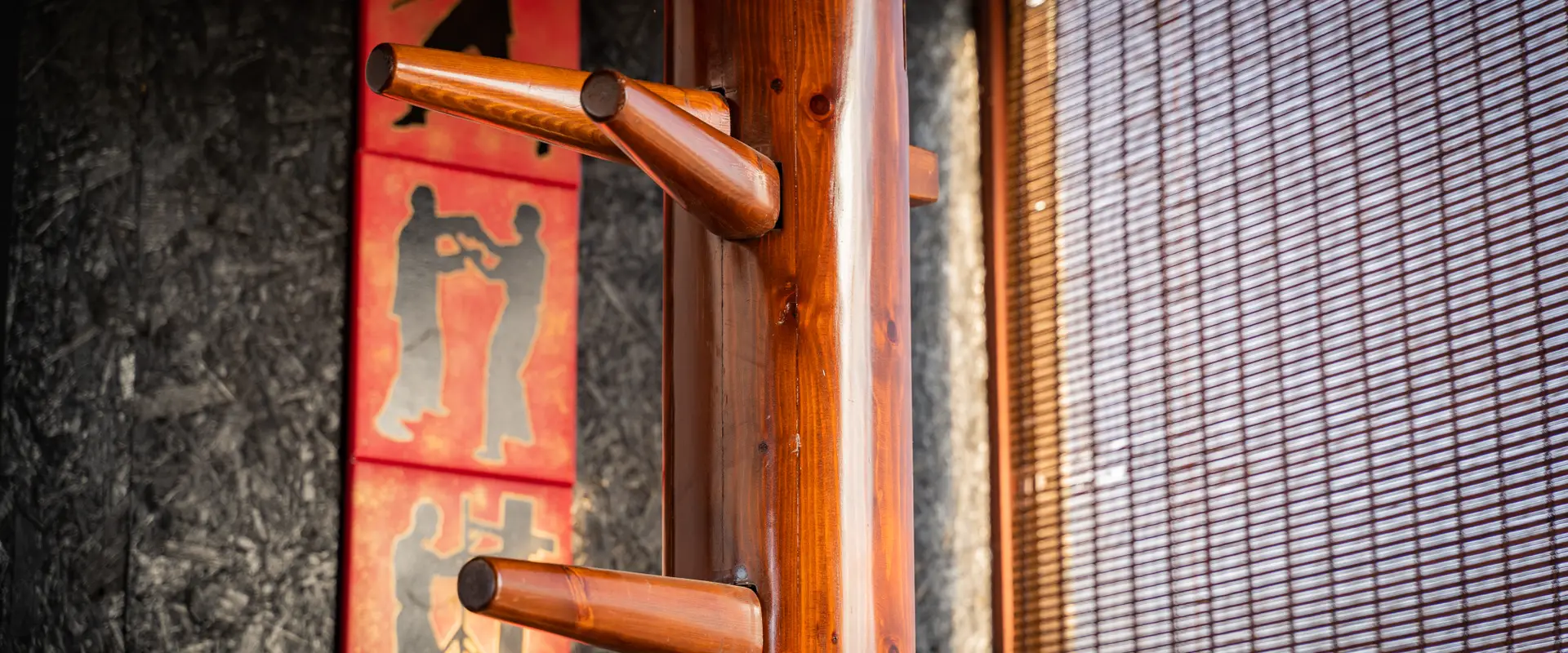 Combined Arts Wing Chun Kung Fu and Qigong Martial Arts School