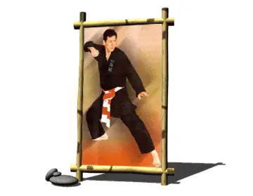 Viet Vo Dao - Thanh Long