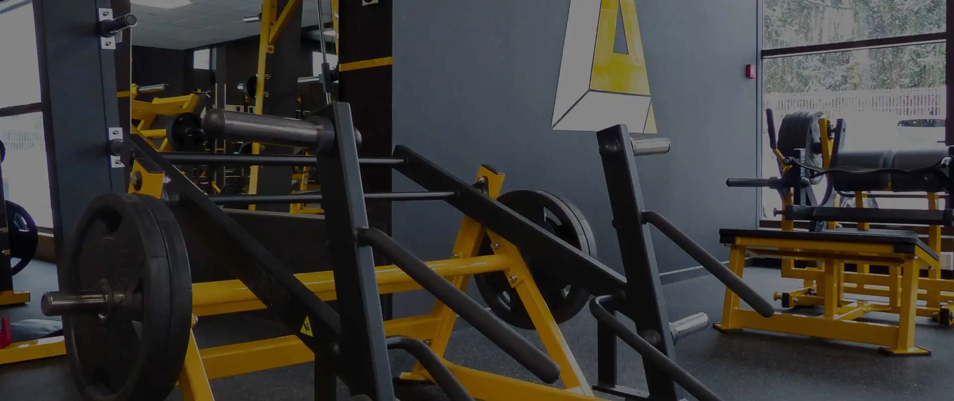 L.A GYM
