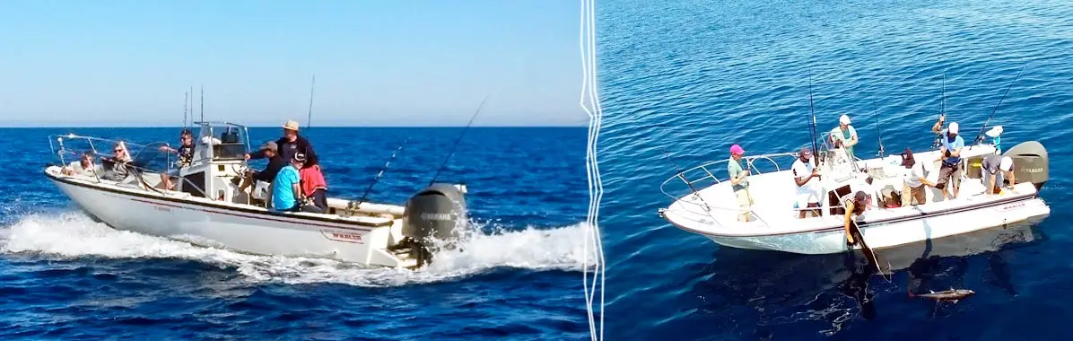 Camargue Fishing