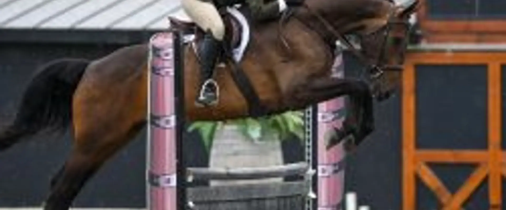 Ross Equestrian Services