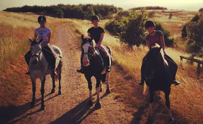 The Spanish Bit Riding School & Livery