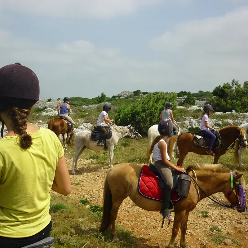 Centre equestre de Peyriac de mer & Pensions Canine
