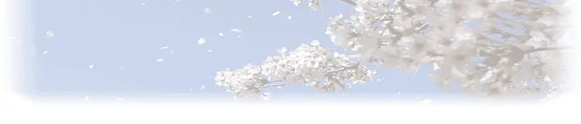 Guseikai Karate Vancouver