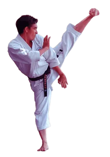 Subuzen karate academy