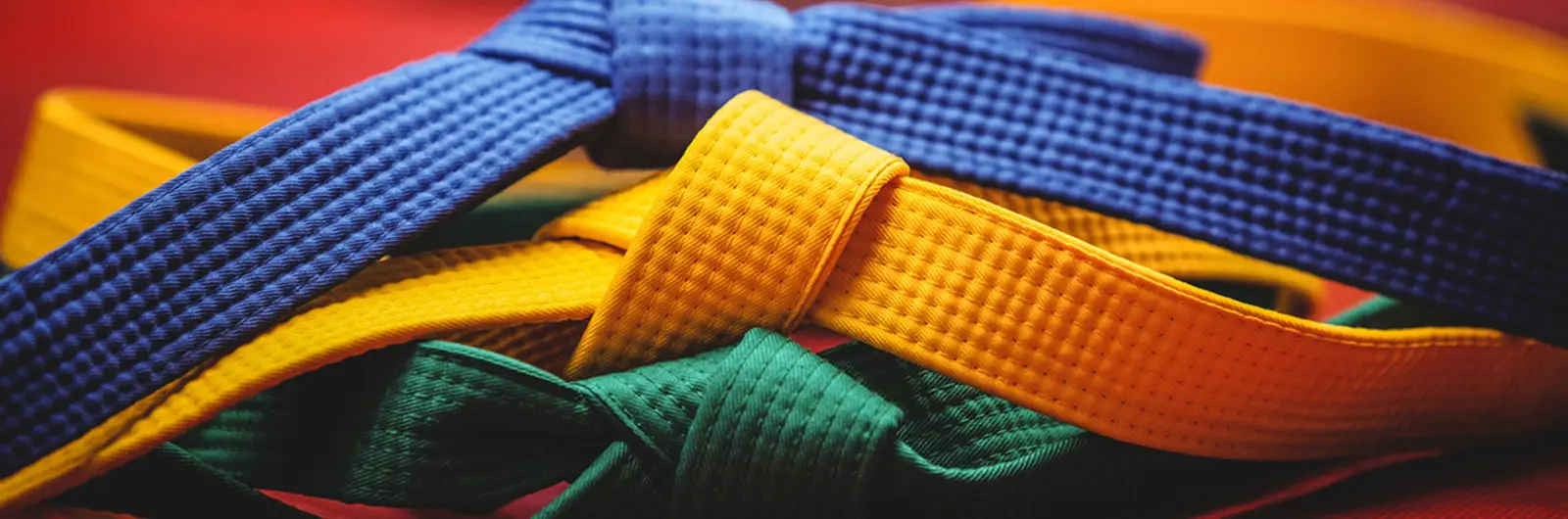 Sportif Judo Club