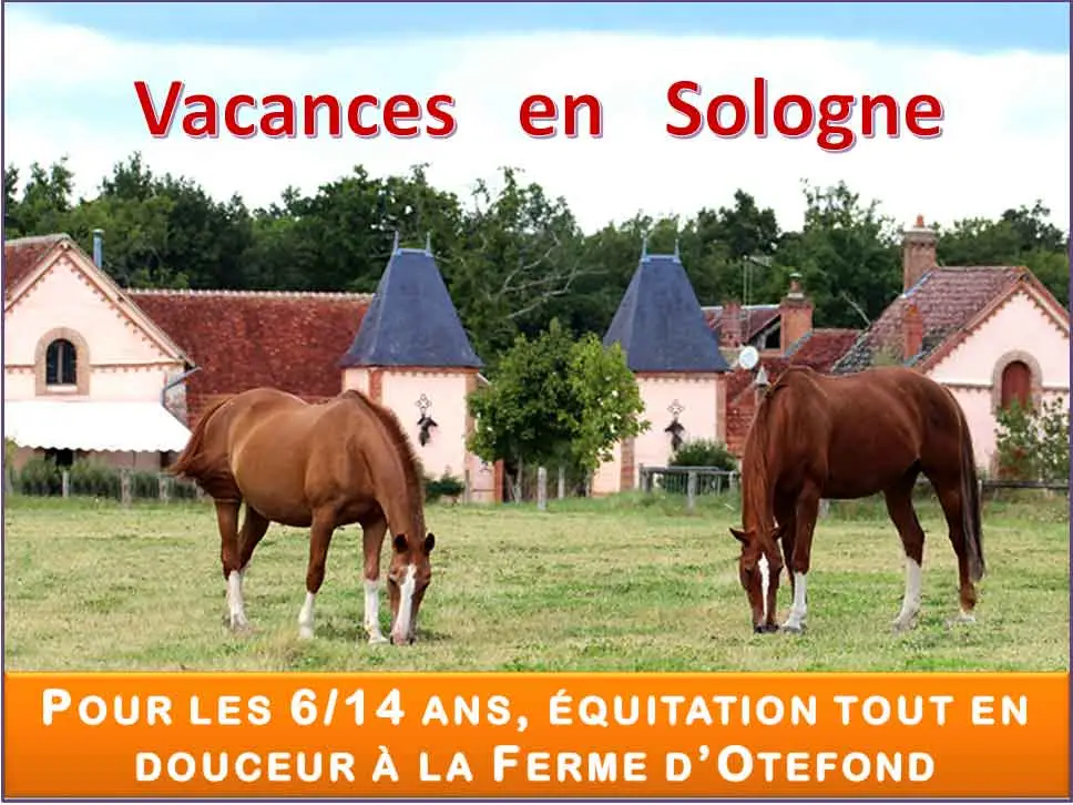 Poney club de l'Île Saint-Germain