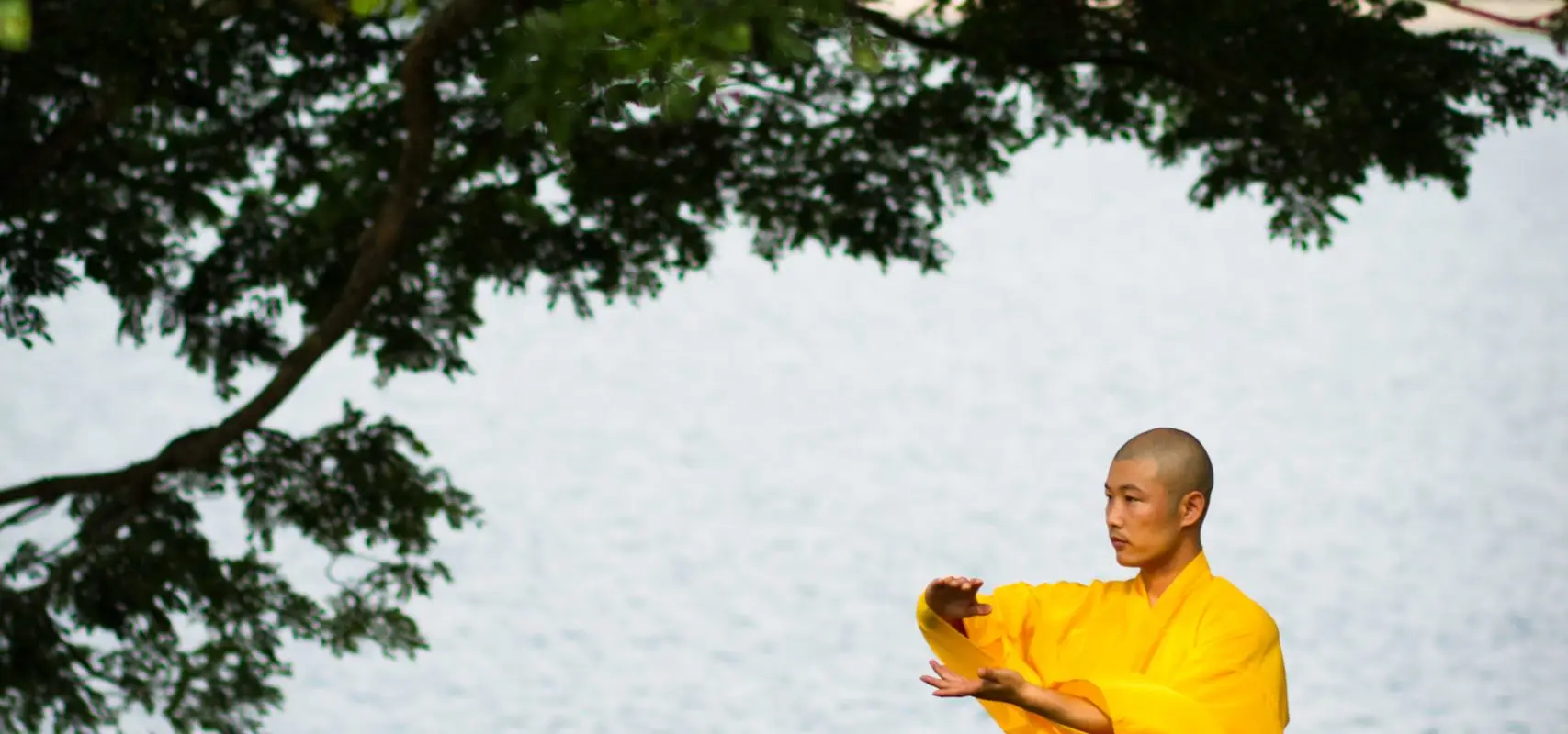 Shaolin Club Pte Ltd