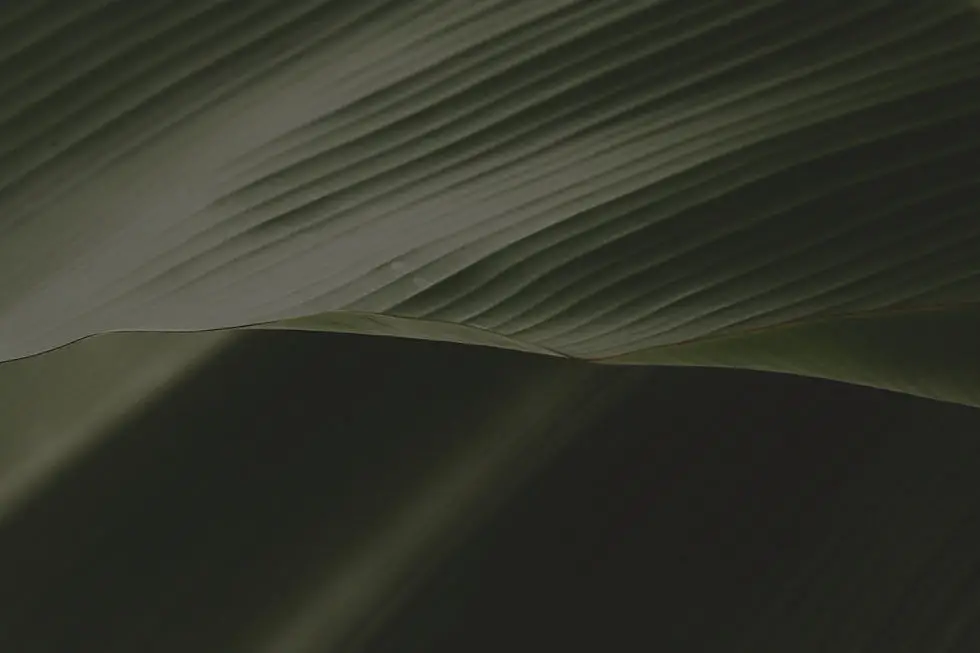 Wise Sage Wellbeing Ltd