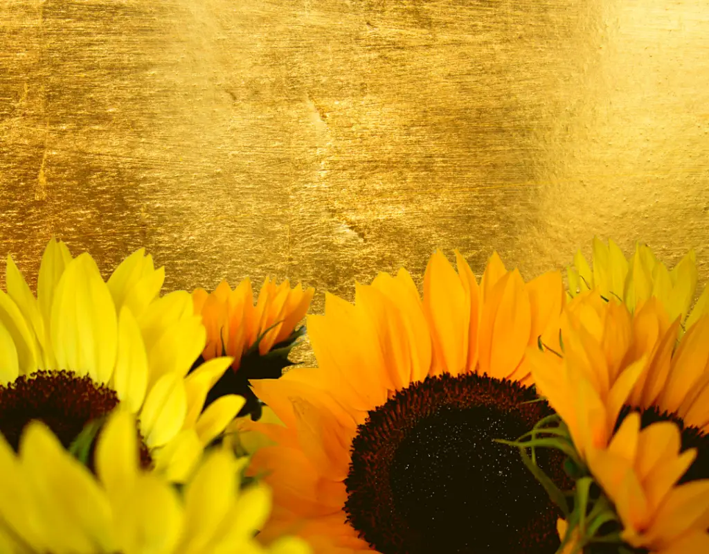 Bristol Buddhist Centre Triratna