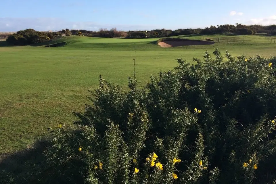Warren Golf Club