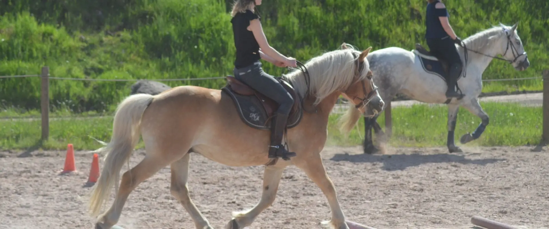 Equestrian Center La Jumenterie