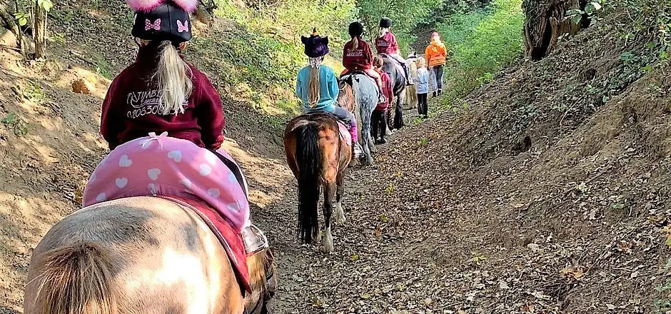 Timbertops Equestrian Centre - Riding School sidcup