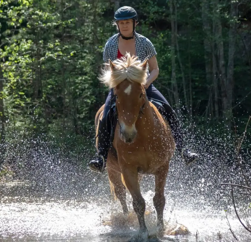 Anne Gage - The Horse Riding Confidence Coach
