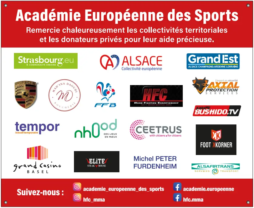 Academy European Des Sports