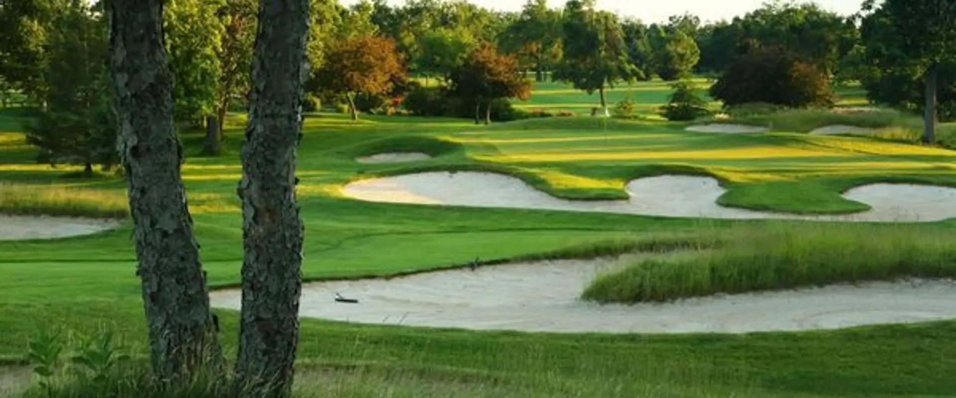 Sean Casey Golf