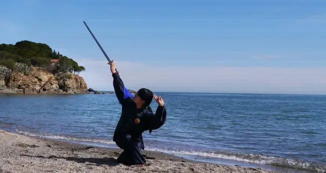 Institut Franco-Chinois De Taiji Quan Chen Xuejiao