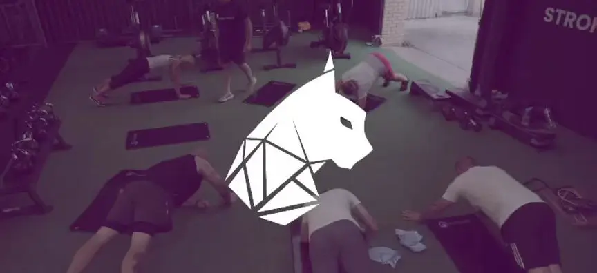 Lynx Fitness Gyms
