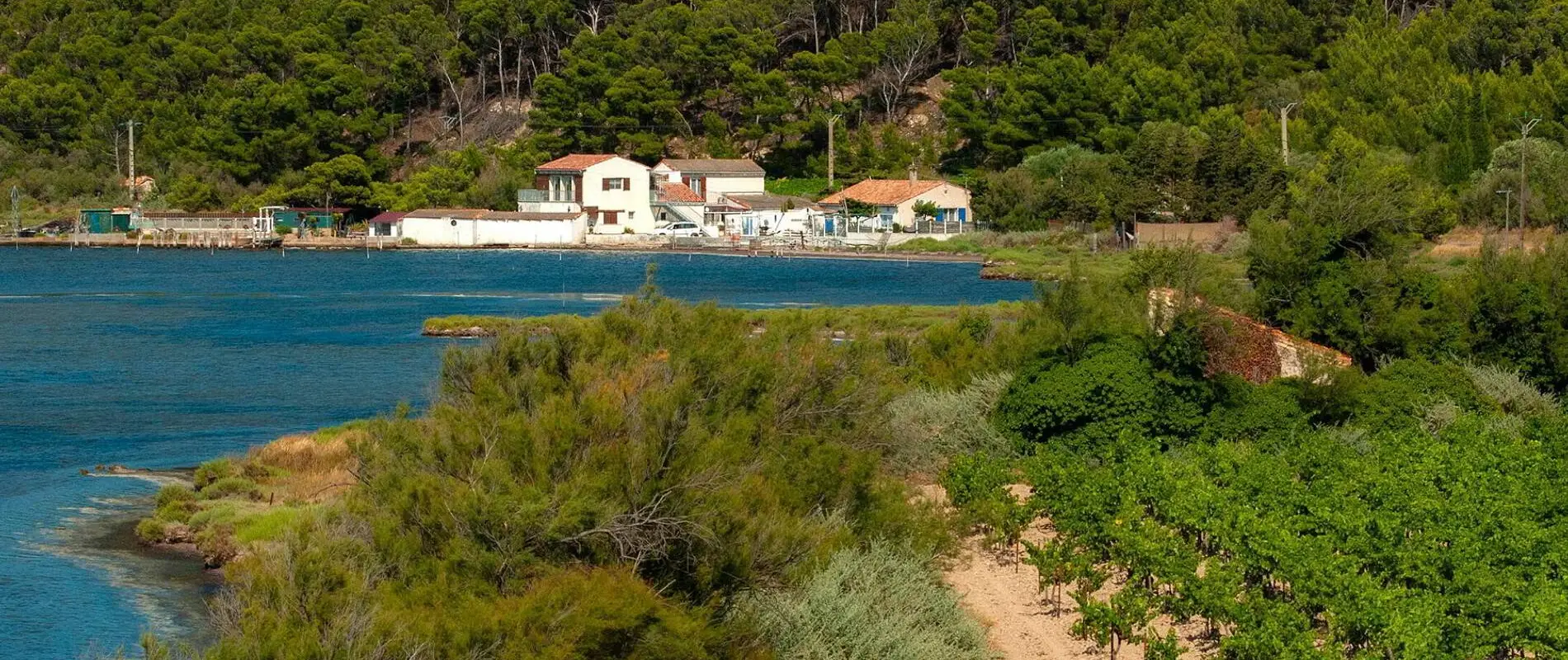 Camping Tohapi Ensoya
