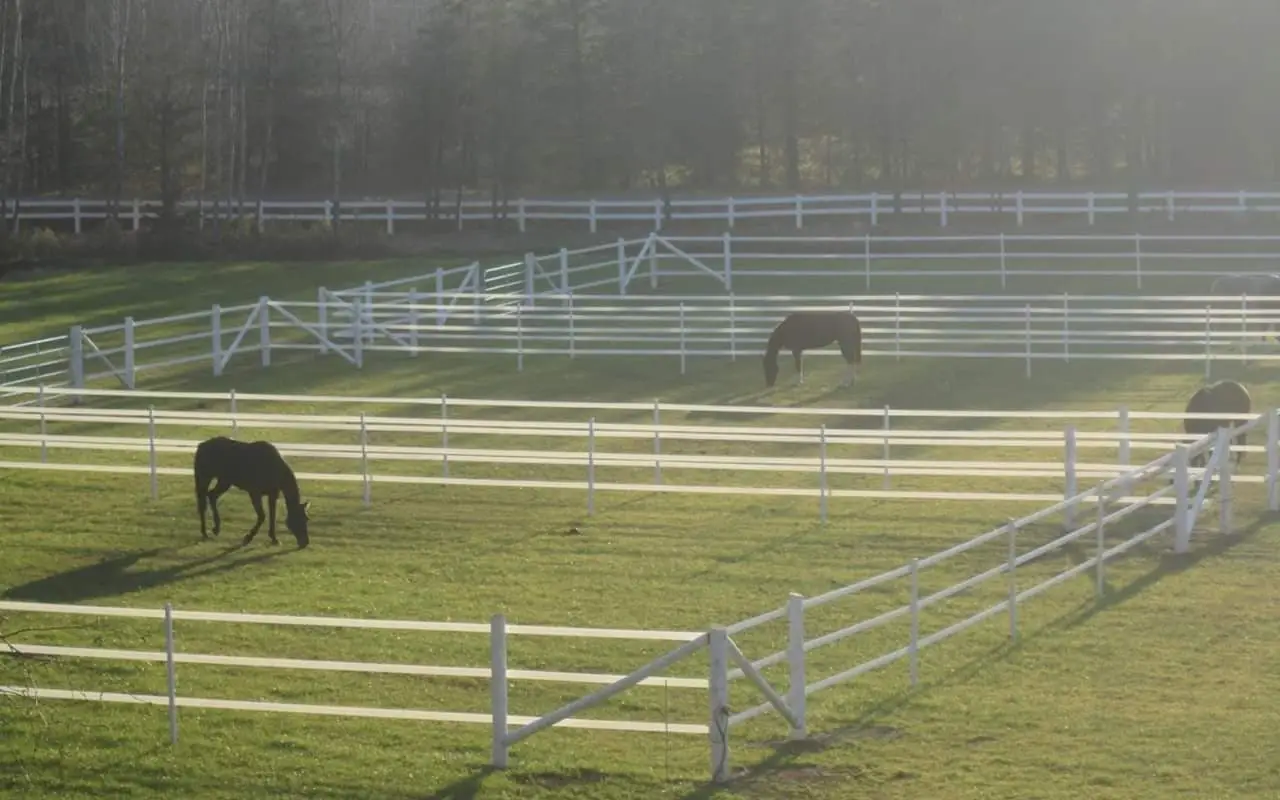 Oxford Ridge Stable