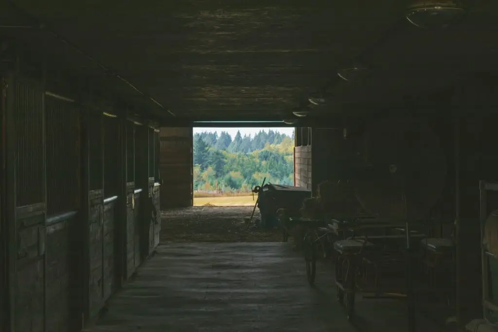 Centre Equestre De Fontmagne