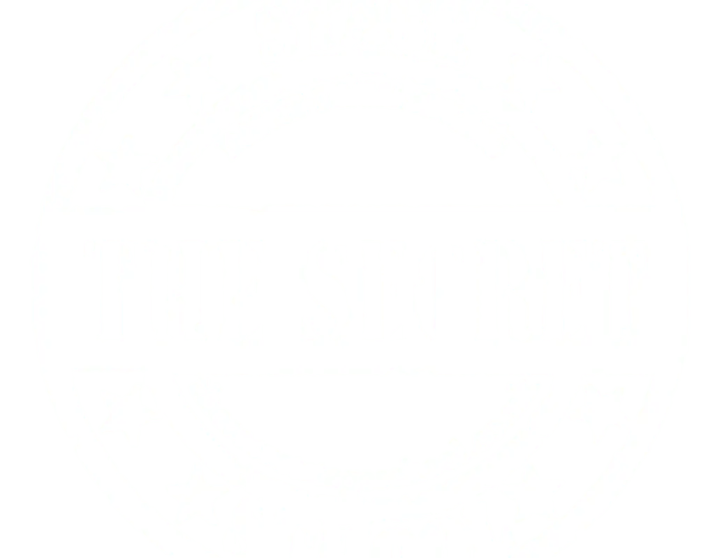 The Secret Stage School