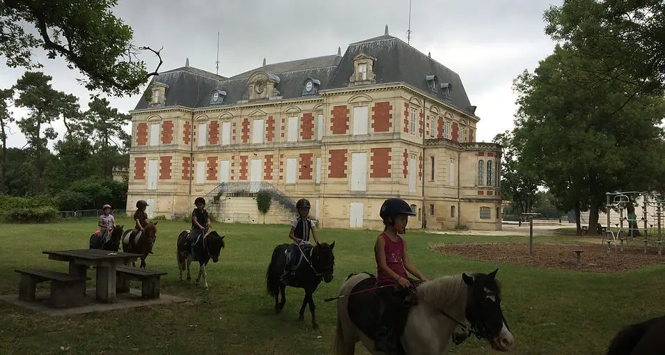 PONEY LORMONTAIS
