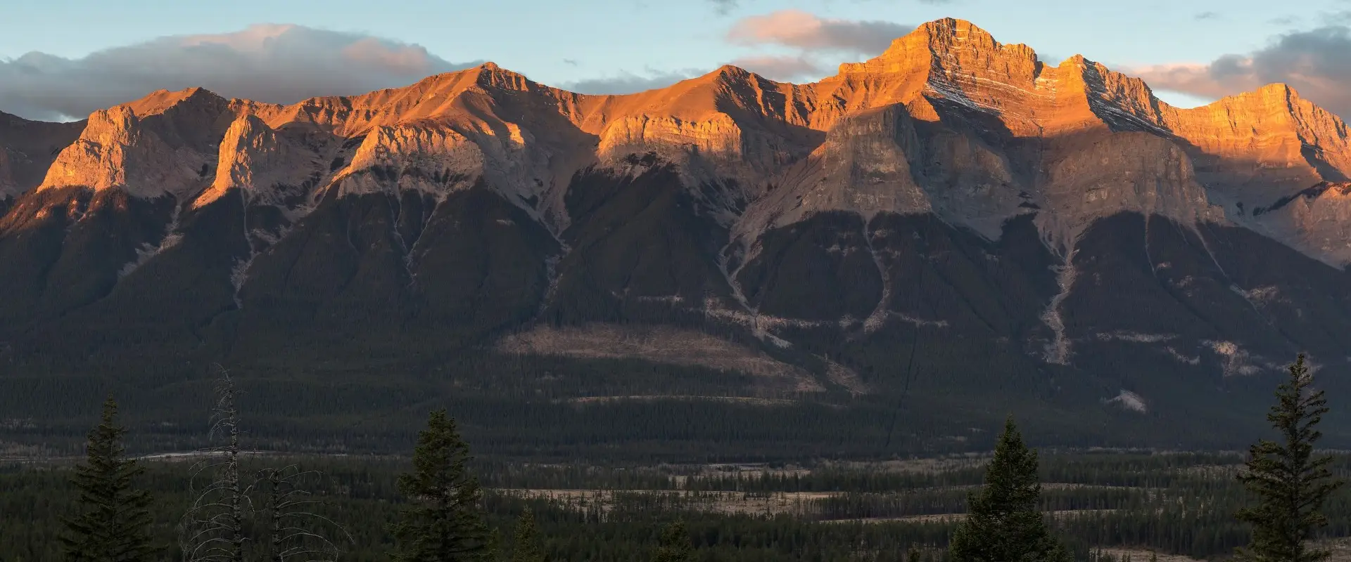Rundle Physiotherapy