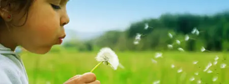 Pacific Allergy and Wellness